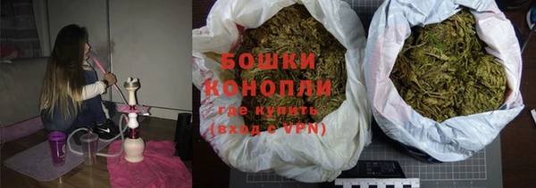 шишки Мегион