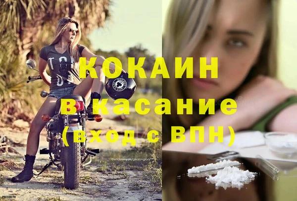 твердый Бердск