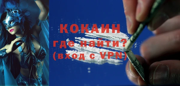 шишки Мегион