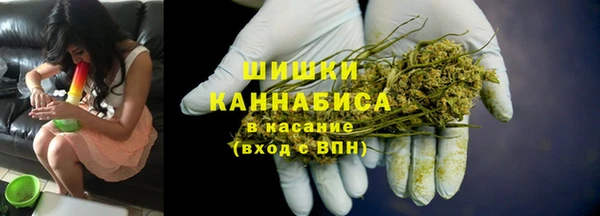 шишки Мегион