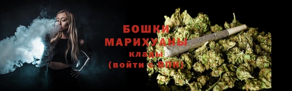 шишки Мегион