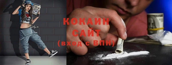 шишки Мегион