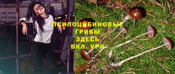 герыч Медногорск