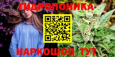 прущая мука Гай
