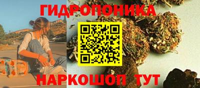 спиды Волгодонск
