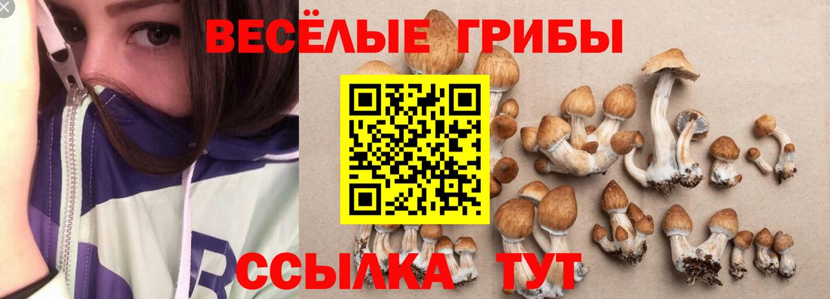 Псилоцибиновые грибы прущие грибы Джанкой